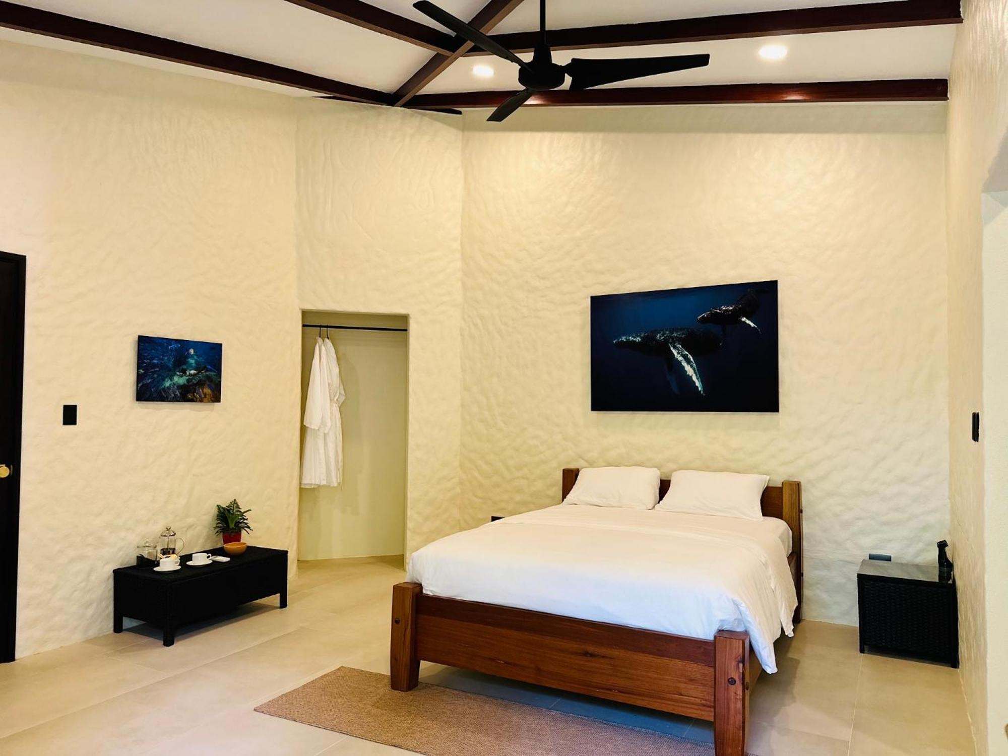 Corcovado Wilderness Lodge By Scp San Pedrillo Exterior foto