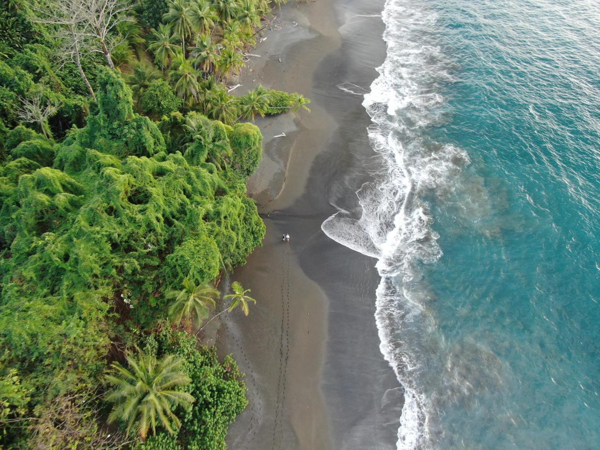 Corcovado Wilderness Lodge By Scp San Pedrillo Exterior foto